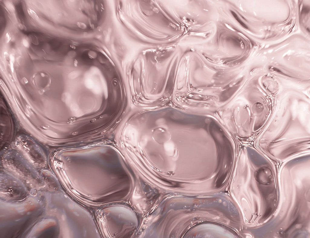 Gardenia Florida Flower Extract