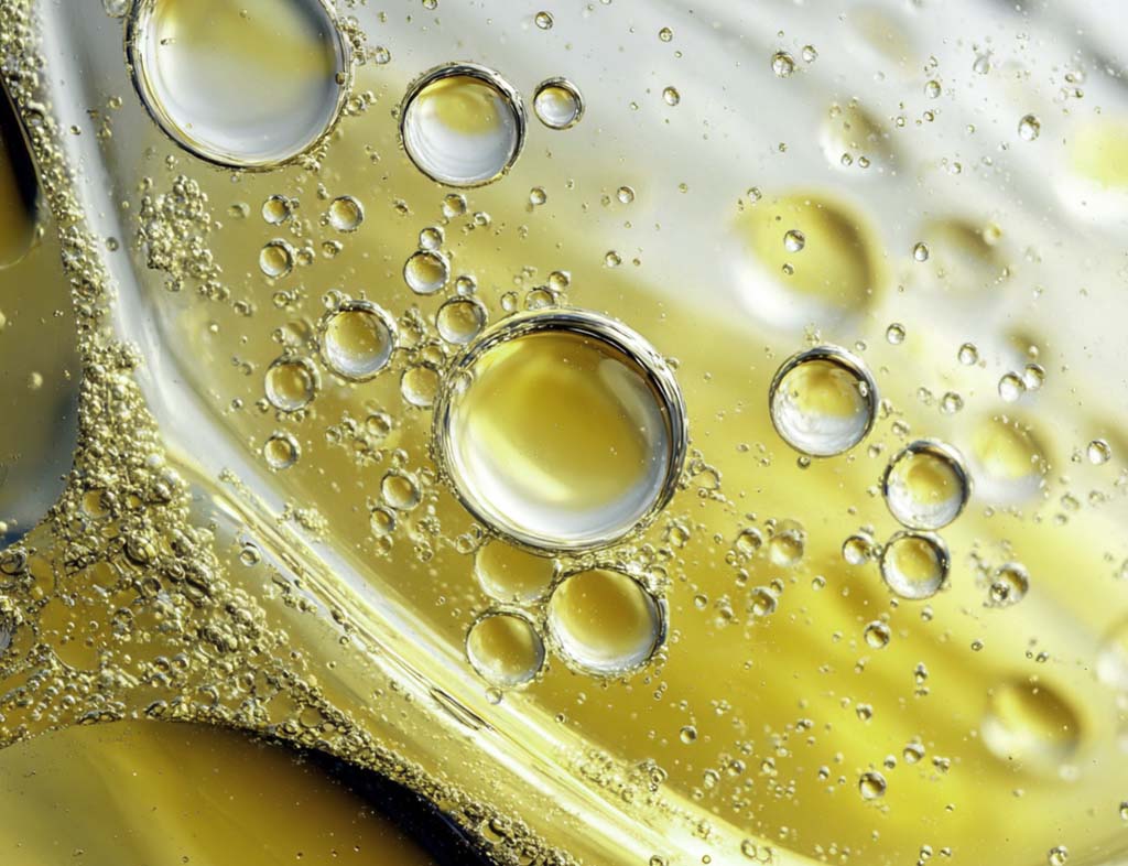 Macadamia Ternifolia Seed Oil